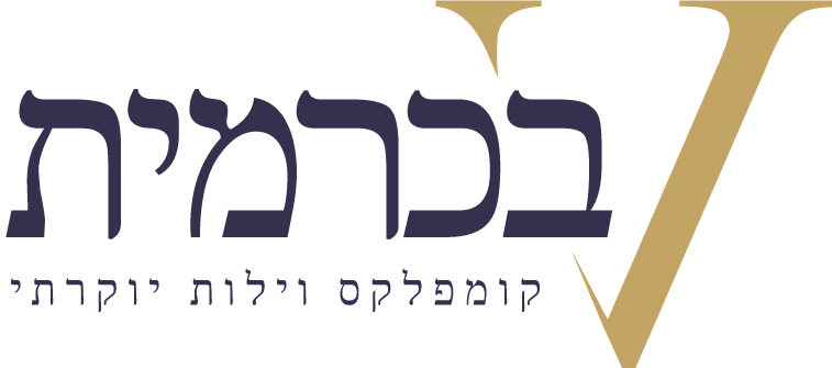 פרויקט ״V״